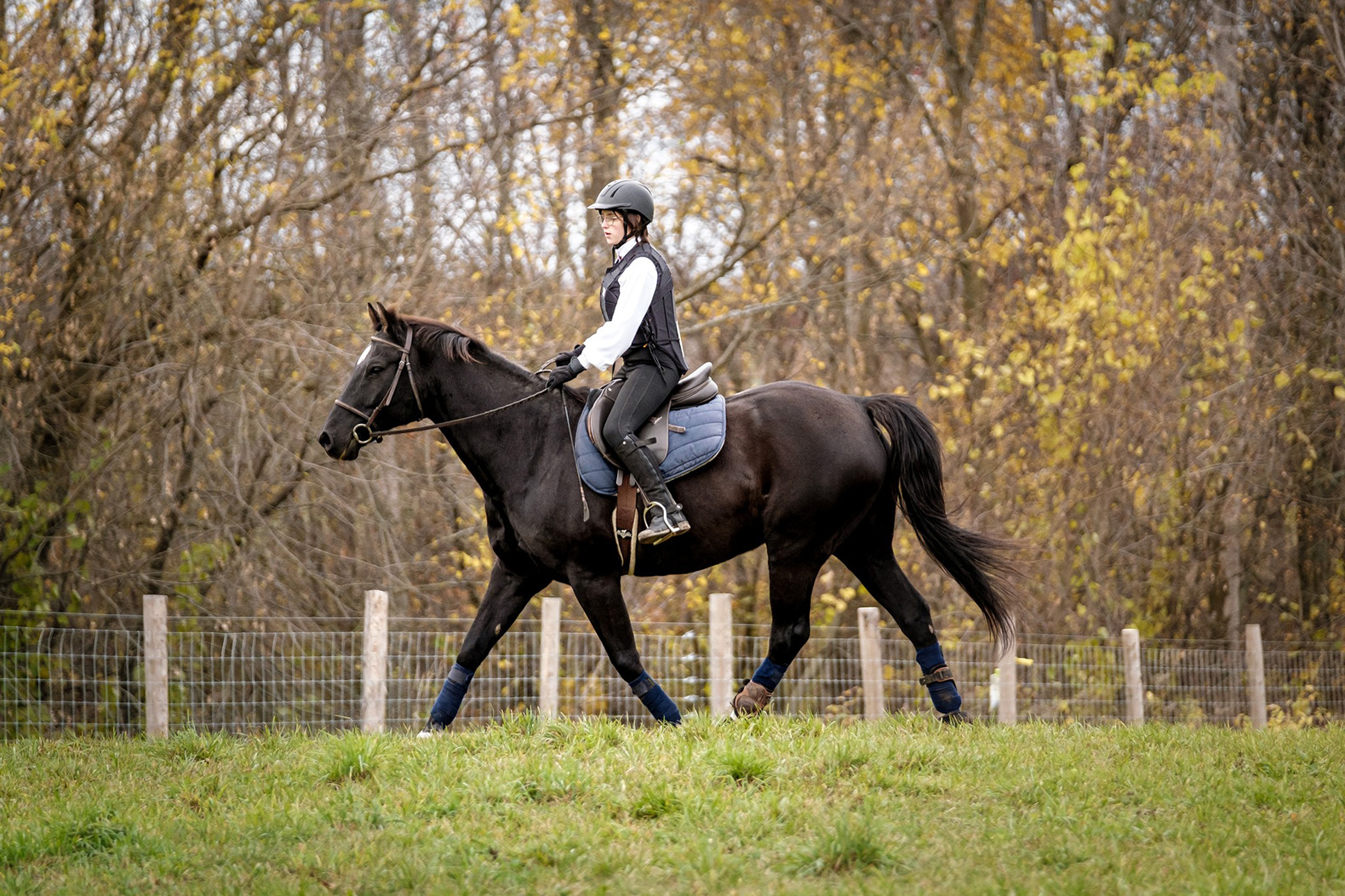 Caval’Style Boutique -Caval’Style Boutique 396236255 826652096135310 3451644607151076564 n