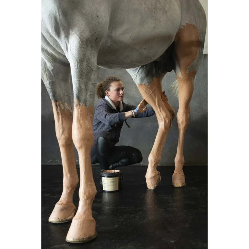 PÉNÉLOPE Argile Rose Pénélope X Alodis Care Terra Clay - 3 Kg 2 PÉNÉLOPE Argile Rose Pénélope X Alodis Care Terra Clay - 3 Kg – Image 2