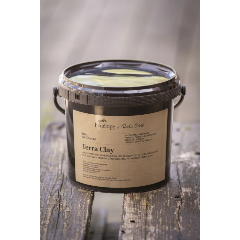 PÉNÉLOPE Argile Rose Pénélope X Alodis Care Terra Clay - 3 Kg 1 PÉNÉLOPE Argile Rose Pénélope X Alodis Care Terra Clay - 3 Kg