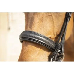 PÉNÉLOPE Bride Point Sellier - Noir -Caval’Style Boutique bride point sellier noir 1 2