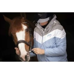 PÉNÉLOPE Bridon Daily Strass - Havane -Caval’Style Boutique bridon daily strass havane 2