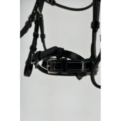 PÉNÉLOPE Bridon Eden - Noir -Caval’Style Boutique bridon eden 1 5