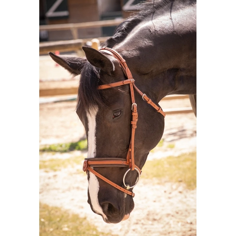 PÉNÉLOPE Bridon Élégance - Cognac 2 PÉNÉLOPE Bridon Élégance - Cognac – Image 2