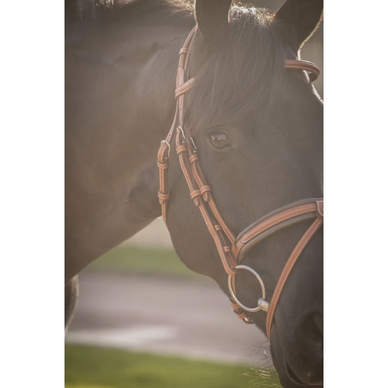 PÉNÉLOPE Bridon Élégance - Cognac 11 PÉNÉLOPE Bridon Élégance - Cognac – Image 11