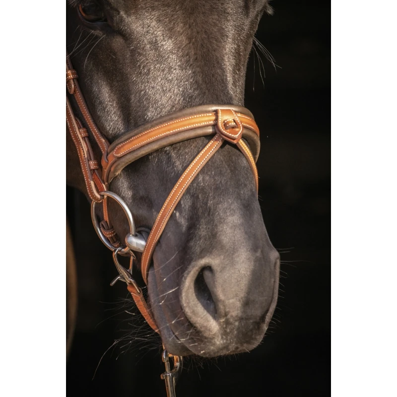 PÉNÉLOPE Bridon Élégance - Cognac 12 PÉNÉLOPE Bridon Élégance - Cognac – Image 12