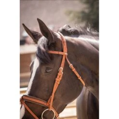 PÉNÉLOPE Bridon Élégance - Cognac 17 PÉNÉLOPE Bridon Élégance - Cognac -Caval’Style Boutique bridon elegance cognac 5