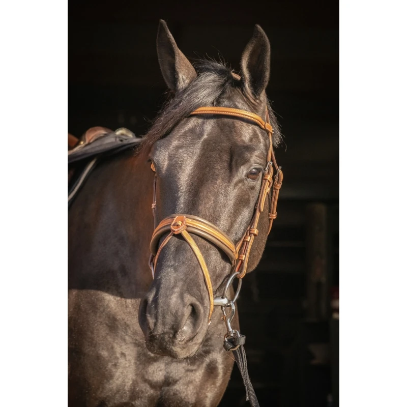 PÉNÉLOPE Bridon Élégance - Cognac 8 PÉNÉLOPE Bridon Élégance - Cognac – Image 8