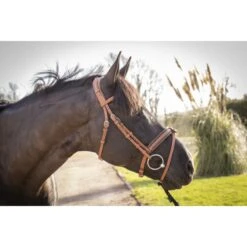 PÉNÉLOPE Bridon Élégance - Cognac 20 PÉNÉLOPE Bridon Élégance - Cognac -Caval’Style Boutique bridon elegance cognac 8