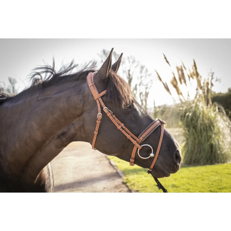 PÉNÉLOPE Bridon Élégance - Cognac 9 PÉNÉLOPE Bridon Élégance - Cognac – Image 9