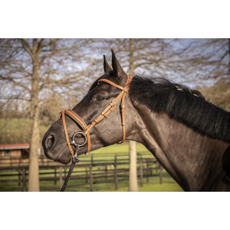 PÉNÉLOPE Bridon Élégance - Cognac 10 PÉNÉLOPE Bridon Élégance - Cognac – Image 10