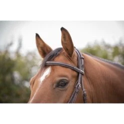 PÉNÉLOPE Bridon Élégance - Havane -Caval’Style Boutique bridon elegance havane 8