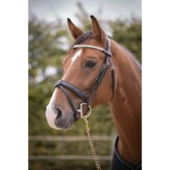 PÉNÉLOPE Bridon Harmonie - Noir