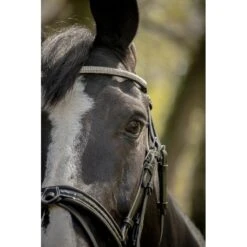 PÉNÉLOPE Bridon Harmonie - Noir -Caval’Style Boutique bridon harmonie noir 4