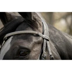 PÉNÉLOPE Bridon Harmonie - Noir -Caval’Style Boutique bridon harmonie noir 5