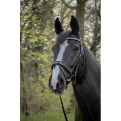 PÉNÉLOPE Bridon Harmonie - Noir -Caval’Style Boutique bridon harmonie noir 7