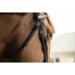 PÉNÉLOPE Bridon Oxford - Noir 11 PÉNÉLOPE Bridon Oxford - Noir -Caval’Style Boutique bridon oxford noir 3