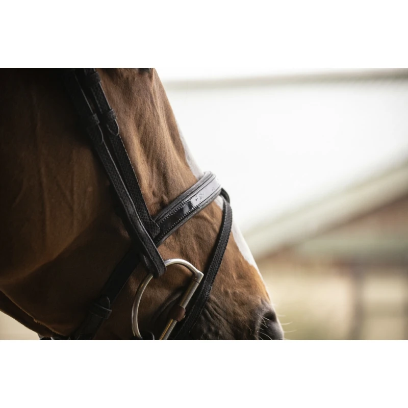 PÉNÉLOPE Bridon Oxford - Noir 5 PÉNÉLOPE Bridon Oxford - Noir – Image 5