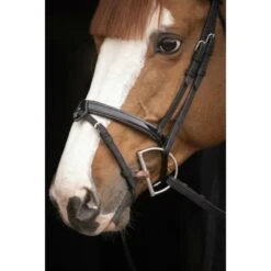 PÉNÉLOPE Bridon Oxford - Noir 13 PÉNÉLOPE Bridon Oxford - Noir -Caval’Style Boutique bridon oxford noir 5