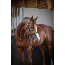 PÉNÉLOPE Bridon Daily - Noir & Noir