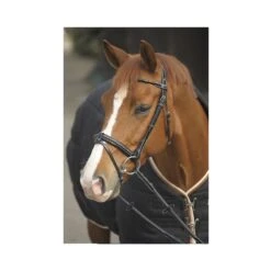 PÉNÉLOPE Bridon Point Sellier - Noir -Caval’Style Boutique bridon point sellier noir 3