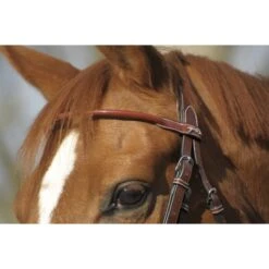 PÉNÉLOPE Bridon Point Sellier - Noisette -Caval’Style Boutique bridon point sellier noisette 5