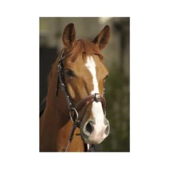 PÉNÉLOPE Bridon Point Sellier - Noisette -Caval’Style Boutique bridon point sellier noisette 6