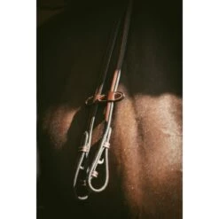 PÉNÉLOPE Bridon Point Sellier - Noisette -Caval’Style Boutique bridon point sellier noisette 8