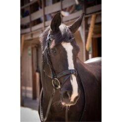 PÉNÉLOPE Bridon Smoothie - Noir