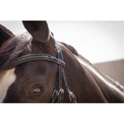 PÉNÉLOPE Bridon Smoothie - Noir -Caval’Style Boutique bridon smoothie 1 2