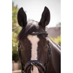 PÉNÉLOPE Bridon Smoothie - Noir -Caval’Style Boutique bridon smoothie 1 4