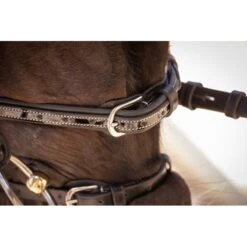 PÉNÉLOPE Bridon Smoothie - Noir -Caval’Style Boutique bridon smoothie 1 5