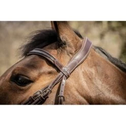 PÉNÉLOPE Bridon Smoothie - Havane -Caval’Style Boutique bridon smoothie havane 1 2