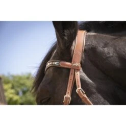 PÉNÉLOPE Bridon Smoothie Pearl - Cognac & Turquoise -Caval’Style Boutique bridon smoothie pearl cognac turquoise 1 5