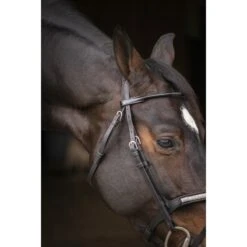 PÉNÉLOPE Bridon Symphonie - Noir -Caval’Style Boutique bridon symphonie noir 4