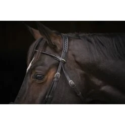 PÉNÉLOPE Bridon Symphonie - Noir -Caval’Style Boutique bridon symphonie noir 5