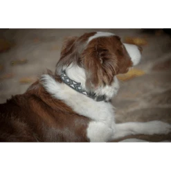 PÉNÉLOPE Collier Pearl - Cognac & Turquoise