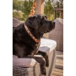 PÉNÉLOPE Collier Pearl - Cognac & Turquoise -Caval’Style Boutique collier pearl noir blanc 1 4