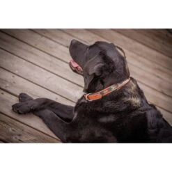 PÉNÉLOPE Collier Pearl - Cognac & Turquoise -Caval’Style Boutique collier pearl noir blanc 1 6