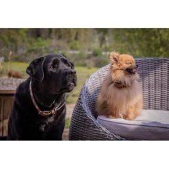 PÉNÉLOPE Collier Pearl - Cognac & Turquoise -Caval’Style Boutique collier pearl noir blanc 1 7