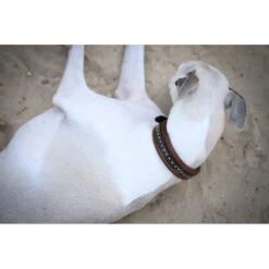 PÉNÉLOPE Collier Pour Chien Point Sellier - Havane -Caval’Style Boutique collier pour chien point sellier havane 3