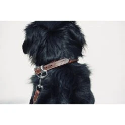 PÉNÉLOPE Collier Pour Chien Point Sellier - Havane -Caval’Style Boutique collier pour chien point sellier havane 4