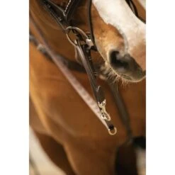 PÉNÉLOPE Enrênement Howlett - Havane