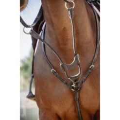 PÉNÉLOPE Flèche De Martingale Bip Light US Élastique - Noir