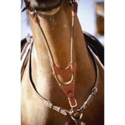 PÉNÉLOPE Flèche De Martingale Bip Light US Élastique - Noisette