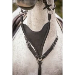 PÉNÉLOPE Flèche De Martingale Bip Plain Élastique - Noir