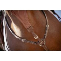 PÉNÉLOPE Flèche De Martingale Bip Plain Élastique - Noisette 9 PÉNÉLOPE Flèche De Martingale Bip Plain Élastique - Noisette -Caval’Style Boutique fleche de martingale bip plain elastique noisette 2