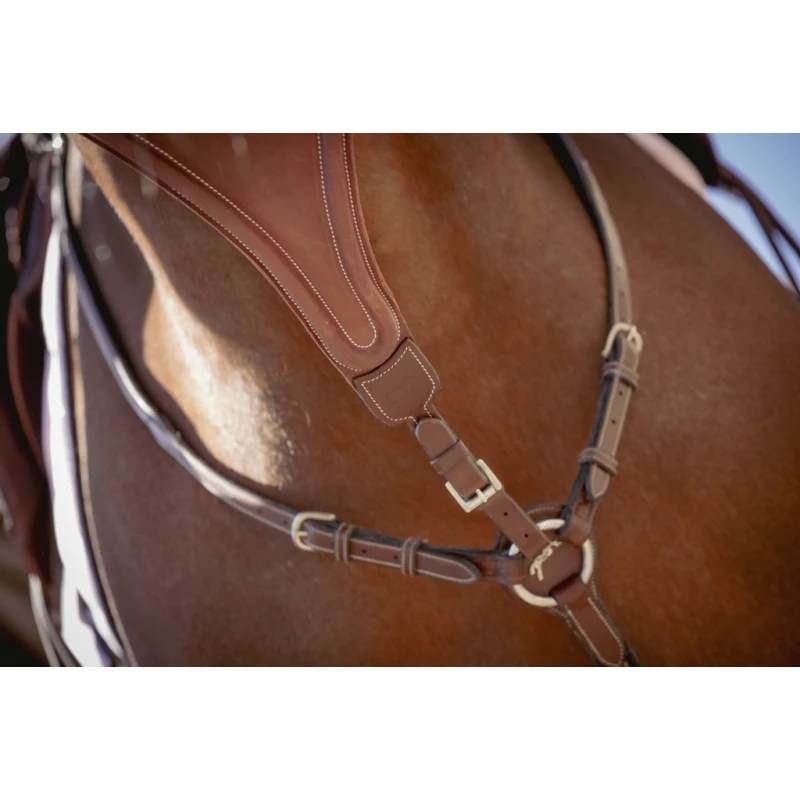 PÉNÉLOPE Flèche De Martingale Bip Plain Élastique - Noisette 3 PÉNÉLOPE Flèche De Martingale Bip Plain Élastique - Noisette – Image 3