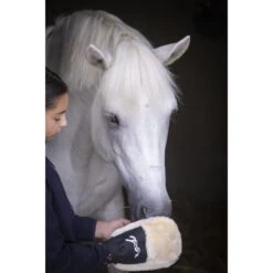 Gant De Pansage 8 Gant De Pansage -Caval’Style Boutique gant de pansage penelope 2