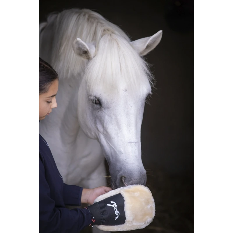 Gant De Pansage 3 Gant De Pansage – Image 3