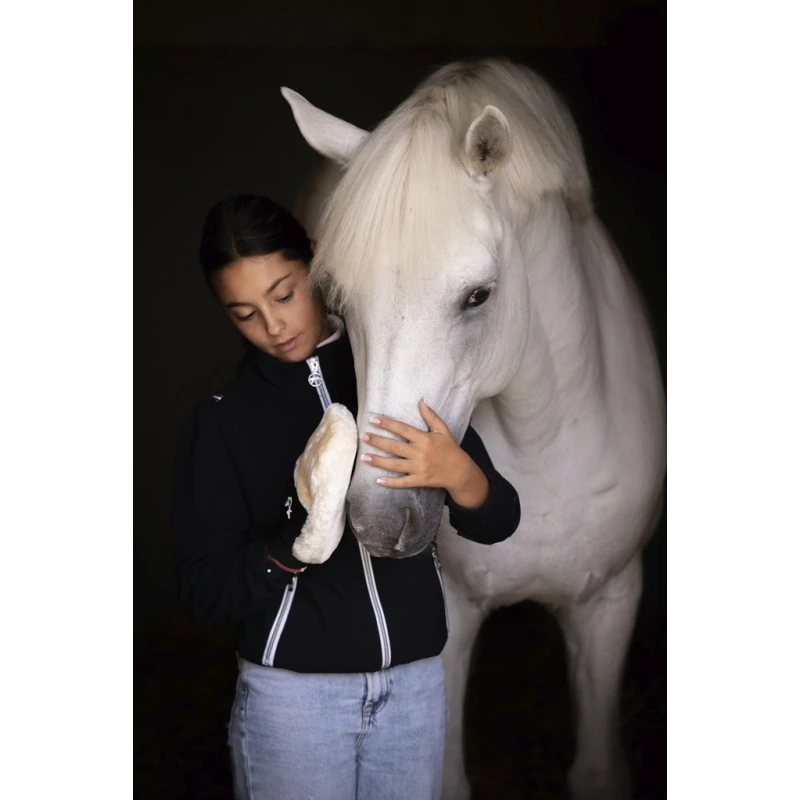 Gant De Pansage 4 Gant De Pansage – Image 4